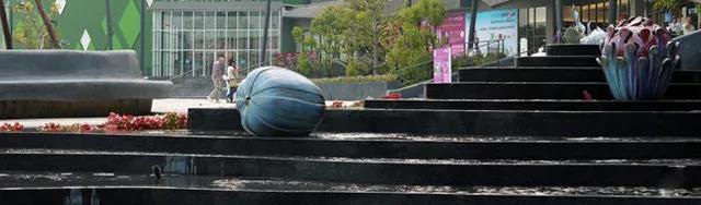 1610593223558363.jpg 8.jpg